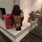A Family Christmas Reunion